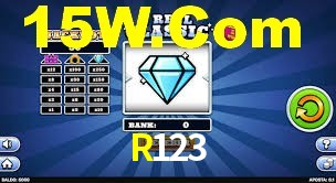 Premium Interface R123
